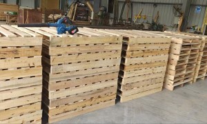 云松木业托盘料加工厂家推荐：1100×1100mm物流木托盘川字底批量批发