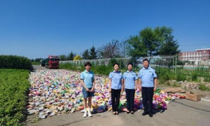 2026年推荐一下食品销毁公司，正规资质企业实力参考