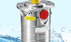 山东排名前五的淡水泵厂家合作实力参考