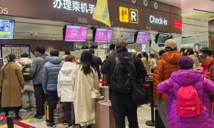 北京启程国际旅行社客户满意度怎么样