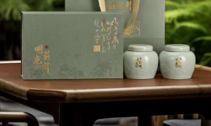 杭州2026年9月甄选雨前龙井茶高性价比门店推荐，广受好评的龙井茶店铺实力与用户口碑