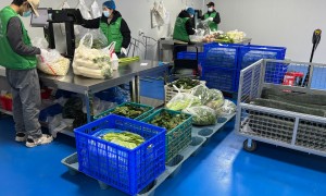 2026年冷冻食品配送服务商推荐：正规靠谱的上海供应商有哪些