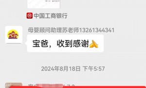2026年知名的月嫂服务专业公司实力参考