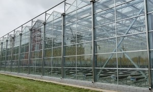青州市冠丰温室园艺工程有限公司：农业玻璃温室设计与施工一体化服务商，售后团队响应快