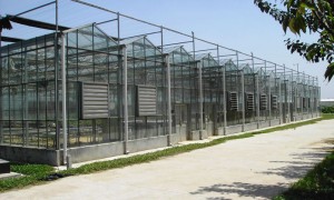 安徽靠谱的高产量智能温室建造厂家筛选名录，带早期病害预警系统方案实力盘点