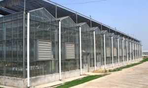内蒙交货准时的智能温室大棚厂家有哪些，冠丰温室合作实力参考