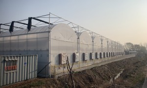 2026年内蒙日光温室源头厂家有哪些，口碑高的生产厂家用户力荐