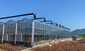 冠丰温室市场口碑如何，湖南靠谱温室工程公司实力参考