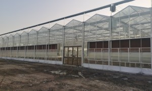 施工快的农业玻璃温室建造厂家综合实力推荐，用料扎实品质可靠