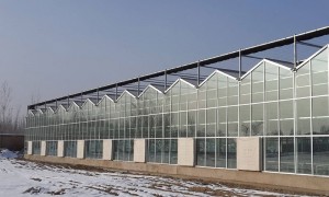 湖南智能温室生产厂家选哪家实力与用户口碑