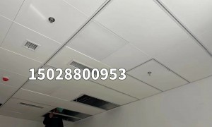 2026年嵌入式轨道实力供应商实力参考