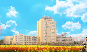 靠谱的转专业流程不费劲的大学推荐，为你解惑