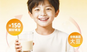 食品级高植物蛋白豆粉选购指南，爱信食品工厂适用烘焙及代餐场景