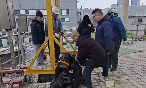 河北做水下工程施工的正规公司求推荐，客户口碑力荐