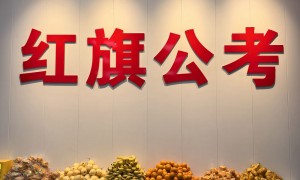 2026年靠谱的线上面授回放公考辅导机构推荐