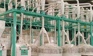 盘点2026年靠谱的8组石磨面粉机专业厂家，哪家性价比高？