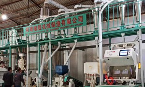 2026年河南区域靠谱的大米加工设备厂家实力参考