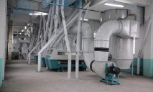 2026年资质齐全的200吨面粉加工设备供应商合作实力参考