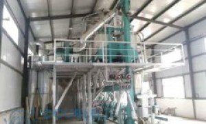2026年磨面机正规厂商行业现状与选择指南