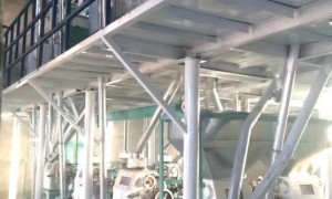 2026年高效的小麦面粉机厂家甄选：源头生产厂家实力参考