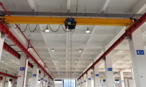 2026年正规的欧式起重机源头厂家实力与用户口碑