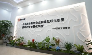 2026温州本地经验丰富的小红书代运营公司推荐：靠谱商家测评排名