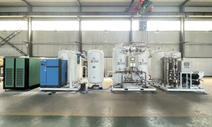 2026年用料扎实的医用制氮机制造厂行业全景分析：不踩坑的源头厂家