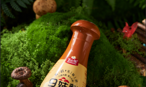 大型菌菇企业有哪些？浙江百兴食品源头厂家合作实力参考