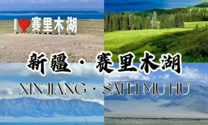 广州服务不错的新疆国旅旅行社避坑挑选指南