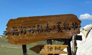 上海十一假期去新疆旅游适合政府会议的旅行社挑选全攻略：新疆中国国际旅行社口碑力荐