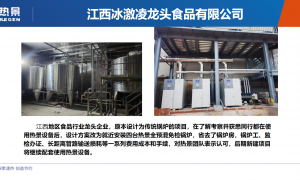 2026年锅炉厂家专业公司推荐