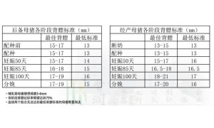 2026年靠谱的猪饲料供应商、猪饲料妊娠母猪料、猪饲料种公猪料生产厂家用户力荐