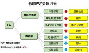 猪饲料正规厂家怎么选？配套完善的制造商实力盘点