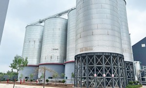 山西晋润农牧科技：饲料厂正规企业实力参考，用户力荐