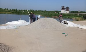 湖北知名的沉水植物公司 水藻园园林构建长效稳定水下森林