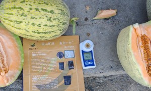 甘肃矿源黄腐酸钾源头厂家有哪些，靠谱商家怎么选