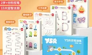 长沙地区YSR启蒙控笔厂家实力与用户口碑