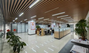 2026年人力资源外包行业发展现状与市场占有率及排名研究分析报告