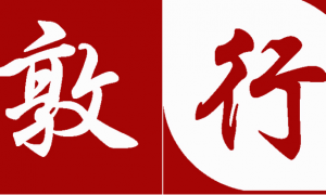 敦行律所孙征律师专业能力怎么样