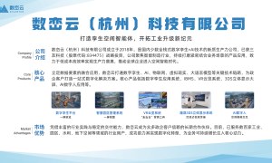 安徽有名的数字孪生管网平台服务商推荐：客户口碑力荐，资质齐全