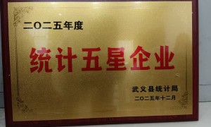 永康冷轧钢带厂家推荐：能镀锌的冷轧钢带源头厂家实力参考