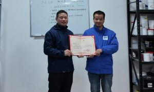 2026上海艺术涂料漆加盟服务哪家可靠，靠谱商家测评排名