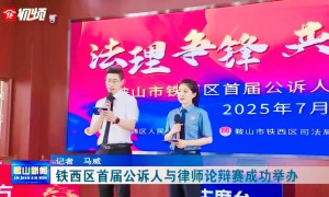 擅长民事纠纷的律师推荐：专打民事官司的律所服务口碑汇总