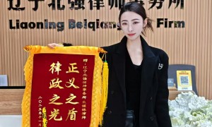 董彦良律师团队规模大不大