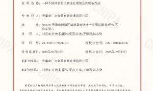 2026年酸洗钝化生产厂家发展现状与市场占有率及排名研究分析报告