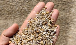 荣顺海沙服务怎么样，好评率99.9%客户认可