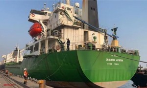 福州海运货代公司怎么选？福建领航避坑挑选指南