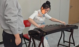 嘉兴古筝艺考培训学校怎么选 正规机构避坑挑选指南