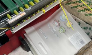 2026年拉链袋贴骨袋加工厂资质齐全：成立十年以上厂家优选