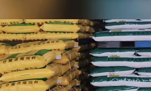 2026年牡丹江正规的饲料供应商/饲料加工厂推荐，省心选择不踩坑